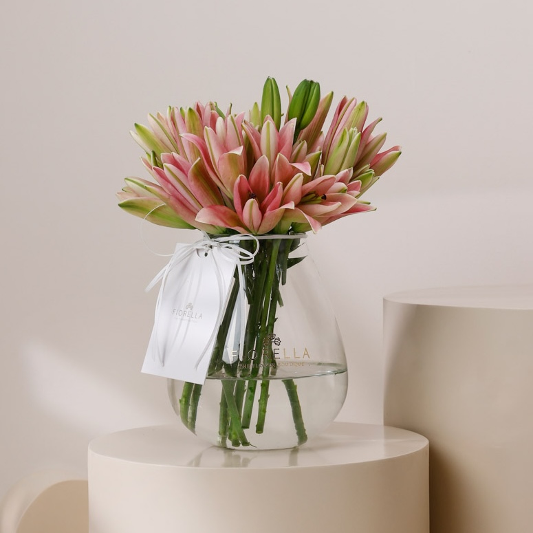  VALENTINE FIO PROMISE